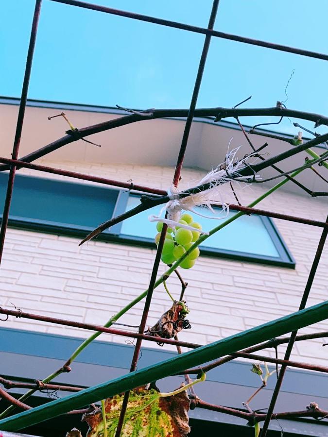 הוילה האצ'יוג'י Miyama House מראה חיצוני תמונה